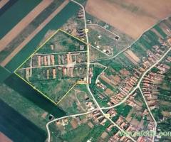 OPORTUNITATE DE INVESTIȚIE – PISCHIA, JUDEȚUL TIMIȘ