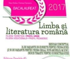 Meditatii romana -istorie asigur reusita !