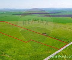 5 hectare teren agricol- pășune, cu front la șosea, zona Sântana