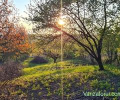 Teren de vânzare în Copou, Viticultori, Iași