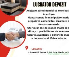 Lucrator Depozit Sector 6