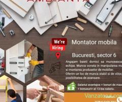 Montator mobila sector 6