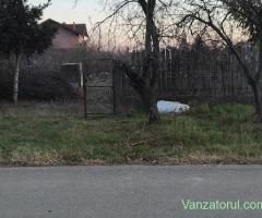 800 mp Clinceni Ordoreanu stradal