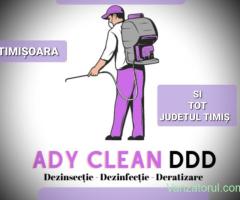 Serviciil DDD Dezinsectie Deratizare Dezinfecție Timișoara