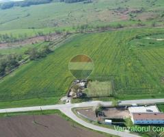Teren de vanzare sau inchiriat 19ha intravilan, Agnita,Sibiu