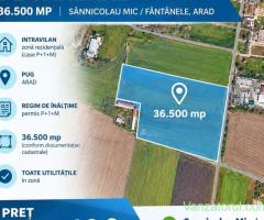 Teren 36.500 MP de vanzare Sannicolau Mic, Arad ID:RH-45694-property