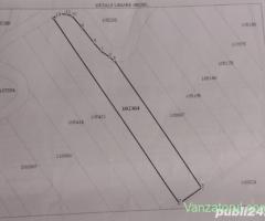 Proprietar vad teren covaci 20000mp