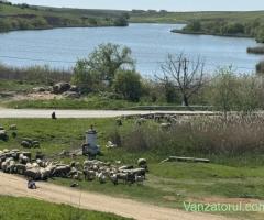 teren curti constructii 1300mp, langa balta de pescuit sportiv