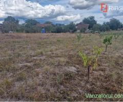 Teren intravilan de 1493 mp cu utilitati - Ianova