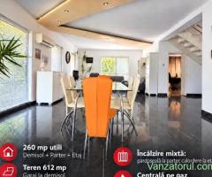 casa individuala Dumbravita Fropin