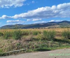 Teren in Coplean intravilan