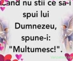 Angajăm șoferi profesioniști Constanta