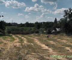 MT255 Teren intravilan 1.493 mp, Curti Constructii, Ianova-Remetea Mare