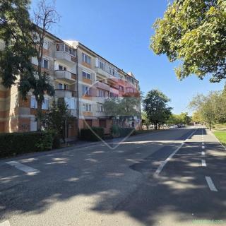 Apartament cu 3 camere in Salonta