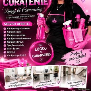 Transformăm fiecare spațiu într-un mediu curat, proaspăt și primitor: Apartamente & Case Imobile