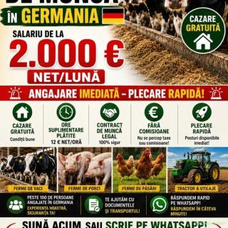 Ferma nemtesca cauta ingrijitor la ferma de animale in GERMANIA