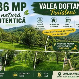 Teren intravilan 1.586 mp livadă, acces amenajat, Valea Doftanei (Trăisteni) investiție excelent