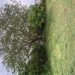 Teren premium de vanzare in Ilfov, Petrachioaia, doua deschideri
