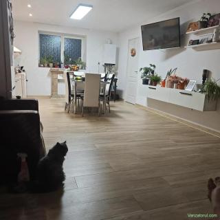 Casă cu 3 camere și curte mare