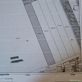 De vânzare teren pădure Băneasa+Jandarmeriei