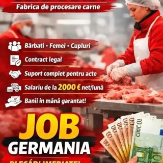 Angajăm bărbați necalificați pentru abatoarele de porc si vită Premium Food Group din Germania