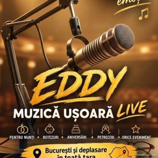 Solist muzica ușoară live
