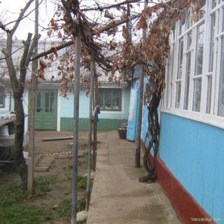 De vânzare casa și grădină