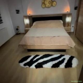Vand apartament 2 camere