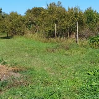 Proprietar, vand teren+casa in centrul loc. Sanandrei, jud. Timis