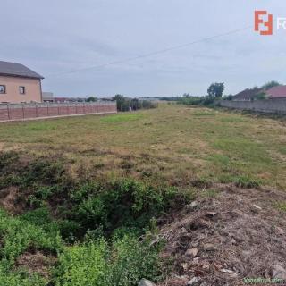 Teren intravilan de 2492 mp de vanzare in Bucovat