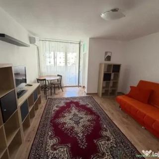 garsoniera teiul doamnei-colentina
