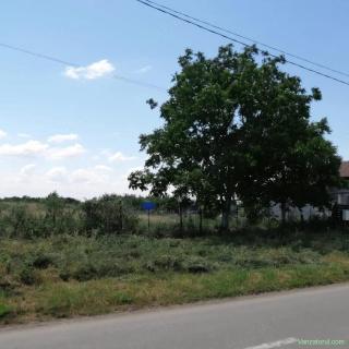 Proprietar - Vând teren intravilan 629 mp, Parța (Str. Căminului)