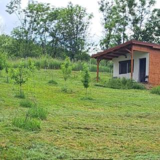 PF vand teren 1200mp cu casa intabulate,18km de Cluj, intravilan CF, cadastru, Micesti com.Tureni