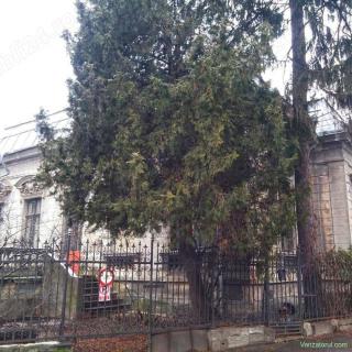 Casa emblematica Ultracental