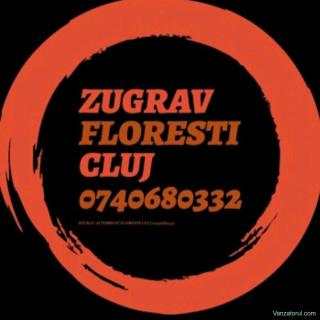 Zugrav, PFA, reparații diverse,reconditionat faianță, lavabil, vopsele, glet, gauri, zugravit