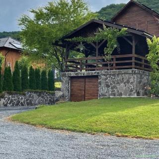 Casa de vacanță din lemn