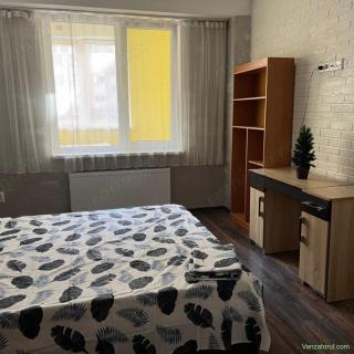 Garsoniera de inchirat in zona Triaj