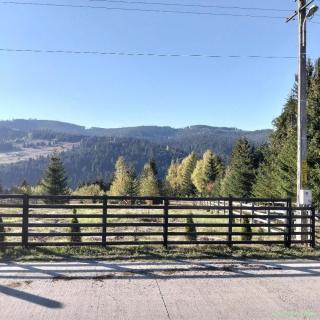 Teren în Bucovina