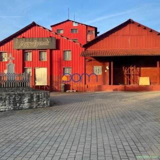 De vanzare moara cereale capacitate 30 T zi