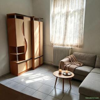 Copou garsonieră 20 m lângă AI Cuza