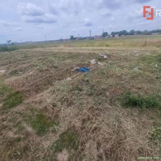 Teren intravilan de 743 mp in Mosnita Veche
