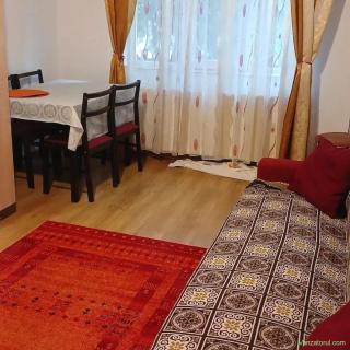 Pe str. Cuza Voda, zona spital, garsoniera de inchiriat, parter, mobilata si utilata, 220 euro luna