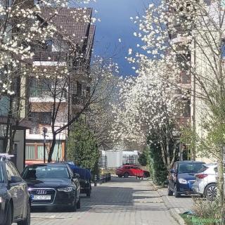 PROPRIETAR-vând ap cu 2 camere + Loc de parcare