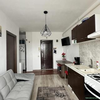 Apartament de vanzare 2 camere