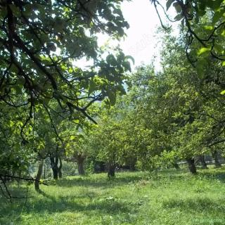 Vanzare teren intravilan central Magura comuna Moeciu