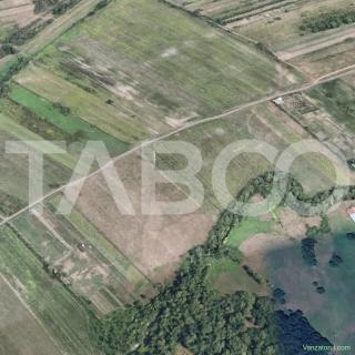 Teren de vanzare 17.000 mp in vecinatatea padurii Dumbrava