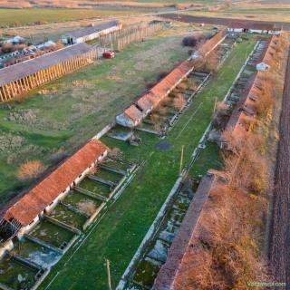 Complex 7 clădiri + teren 11500mp Nădlac (cf persoana fizica)