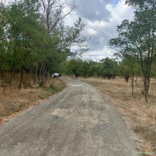 5000 mp langa Padure
