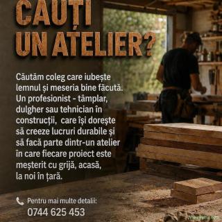 Căutăm coleg - tâmplar, dulgher sau tehnician în construcții