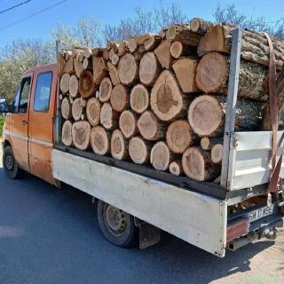Lemne de Foc esența Tare sunati